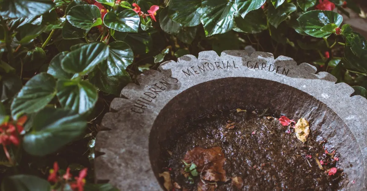 Come Creare un Giardino Sensoriale: Guida Pratica