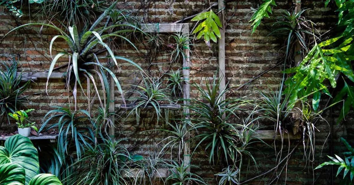 10 Idee per Creare un Giardino Verticale Sostenibile