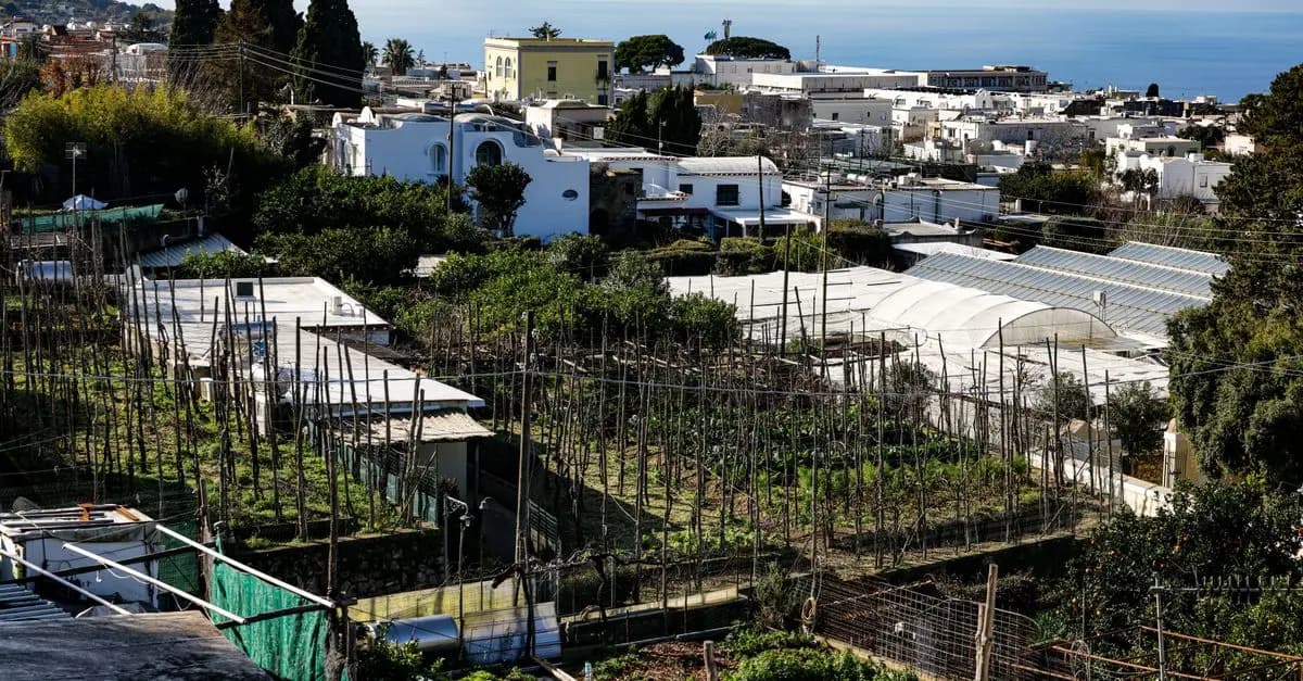 Coltivare piante perenni: Guida completa per il tuo giardino