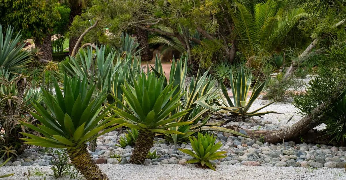 Come Creare un Giardino Sostenibile: Tecniche e Consigli Utili