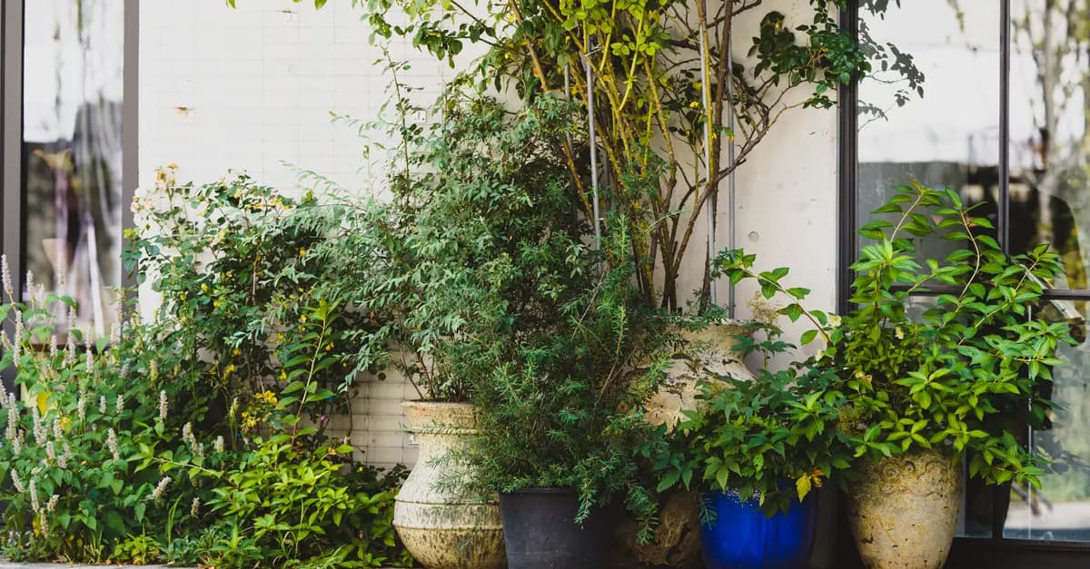 Guida Completa al Giardinaggio Sostenibile: Tecniche e Consigli Utili