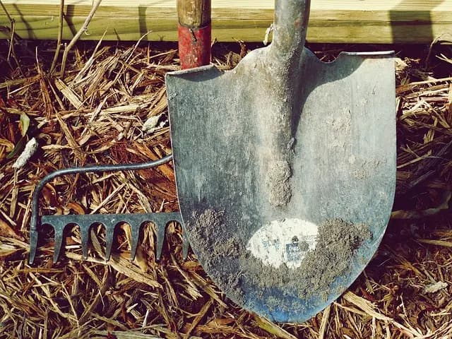 Come Preparare il Terreno per il Tuo Giardino: Guida Pratica