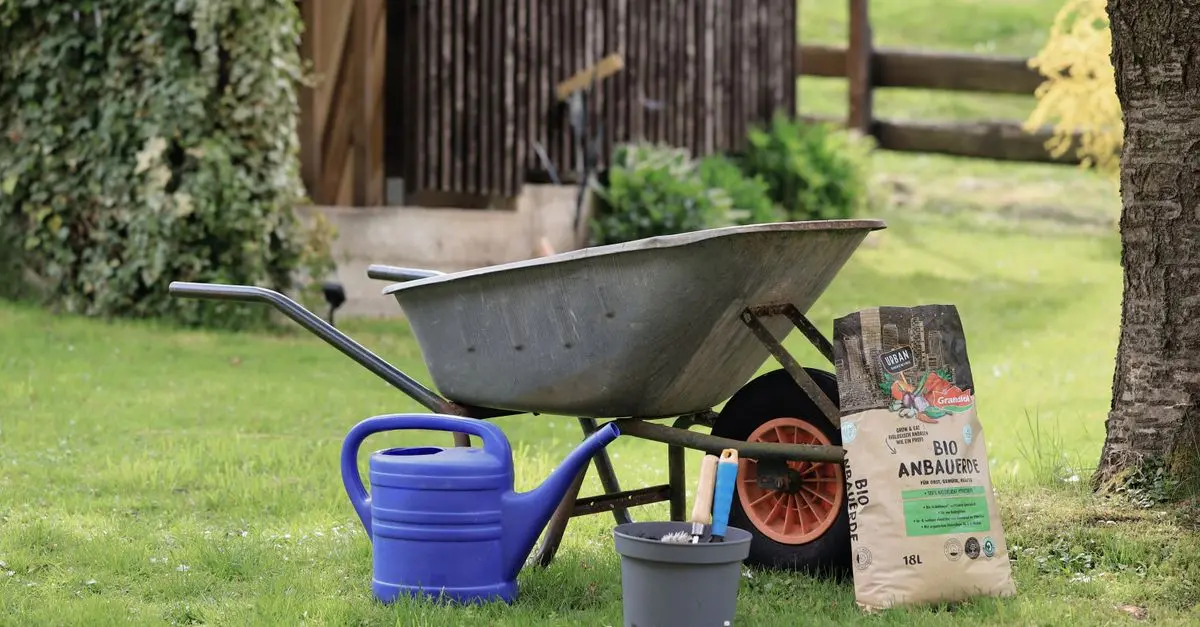 Confronto tra Terricci: Quale Scegliere per il Tuo Giardino