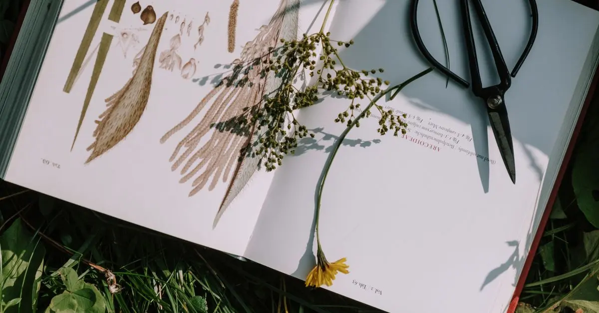 I Migliori Libri sul Giardinaggio