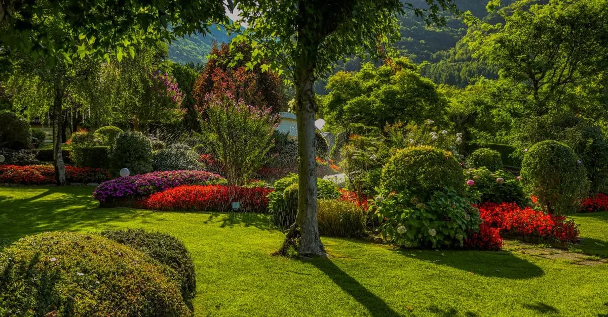 8 Consigli per Coltivare un Giardino Aromatico Sostenibile