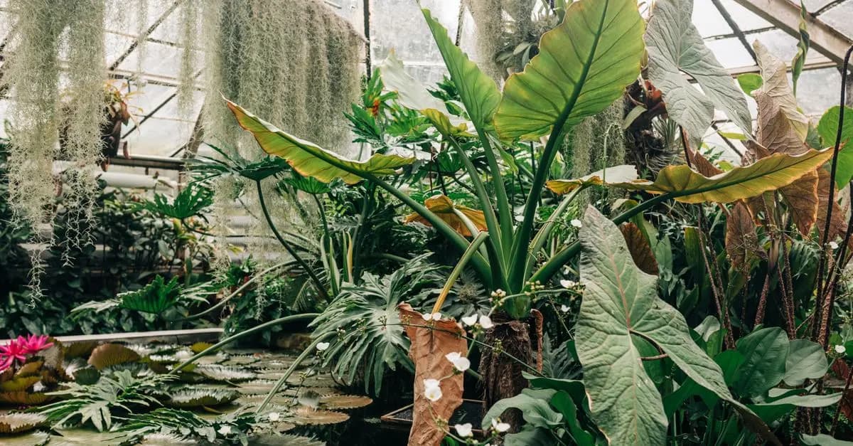 Come Creare un Giardino Resiliente ai Cambiamenti Climatici