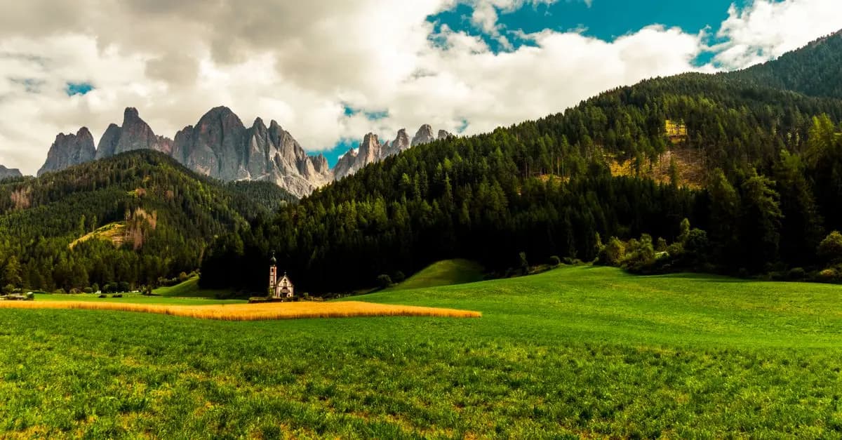 Come Coltivare Piante Resilienti per Adattarsi al Clima