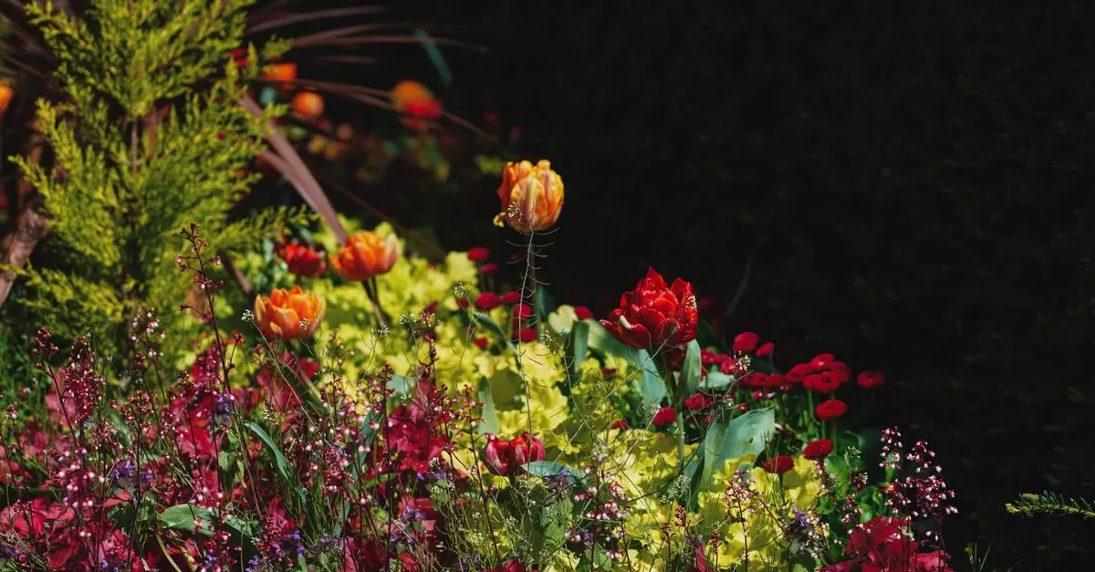 Come Coltivare Piante Resilienti per Ogni Tipo di Giardino