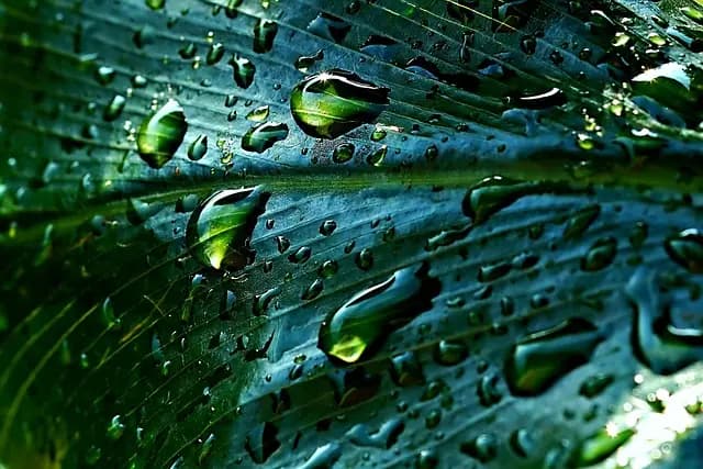 10 Consigli per Creare un Giardino Sostenibile e Fiorente