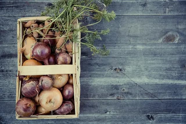 Guida Pratica per Coltivare Piante da Giardino in Modo Sostenibile