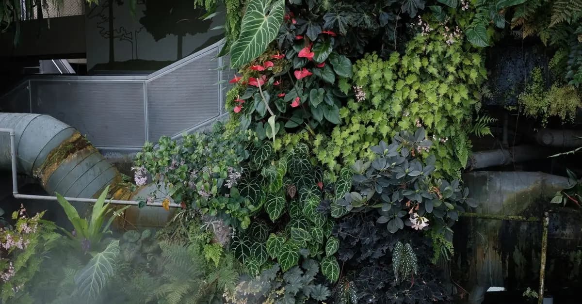 Come Scegliere le Piante per un Giardino Resiliente
