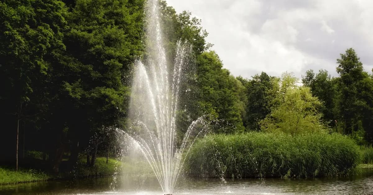Come Creare un Giardino Acquatico: Guida Completa