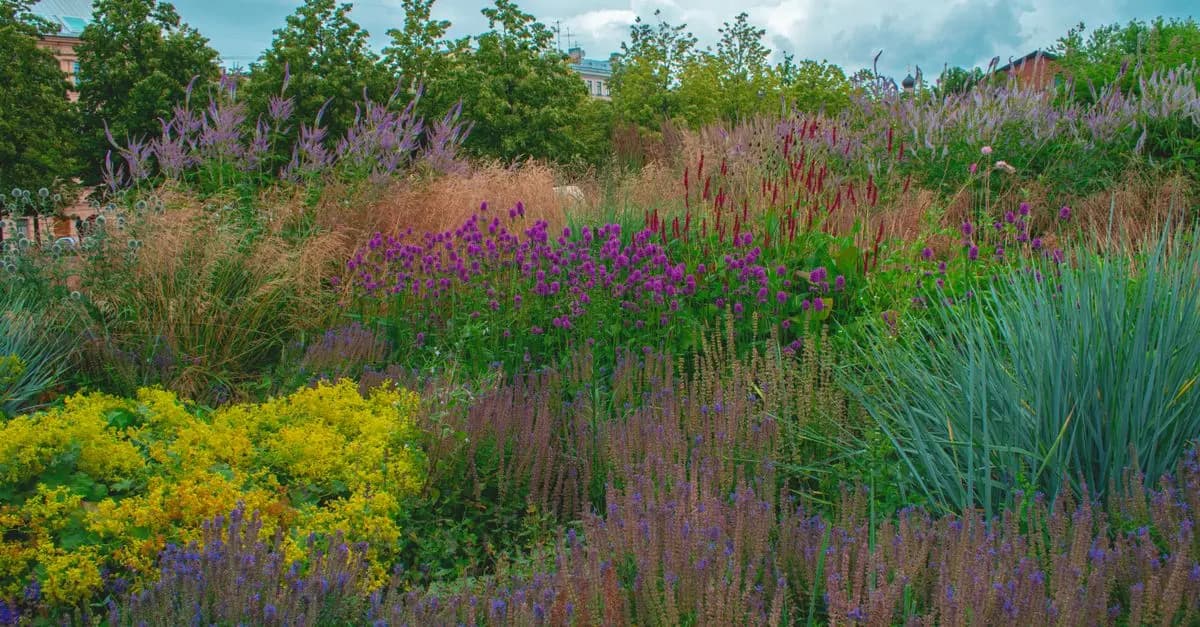 Come Coltivare Piante da Giardino Sostenibili: Guida Completa