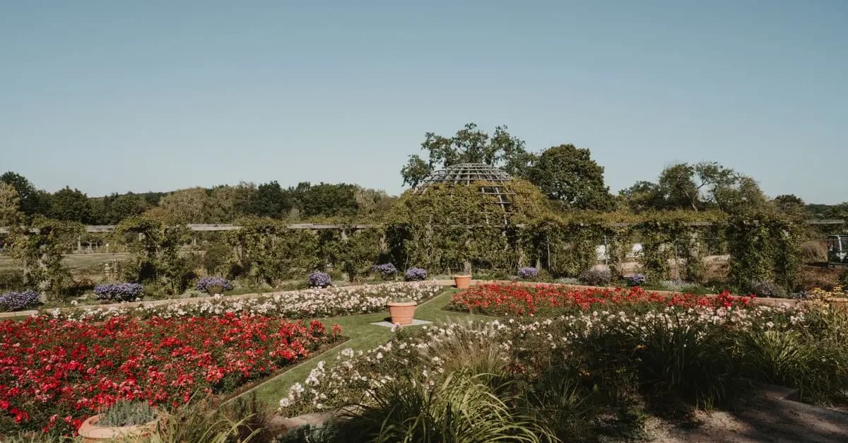Le Migliori Pratiche per Coltivare Piante da Giardino