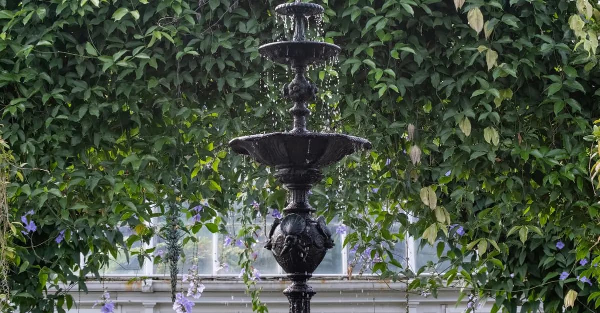 Come Realizzare un Giardino Sensoriale