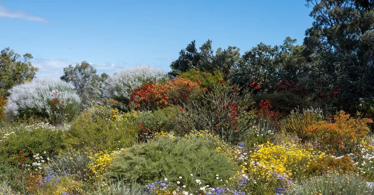 Come Coltivare Piante Resistenti al Caldo nel Tuo Giardino
