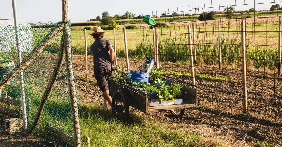 10 Consigli per Coltivare un Giardino Fiorito e Sano