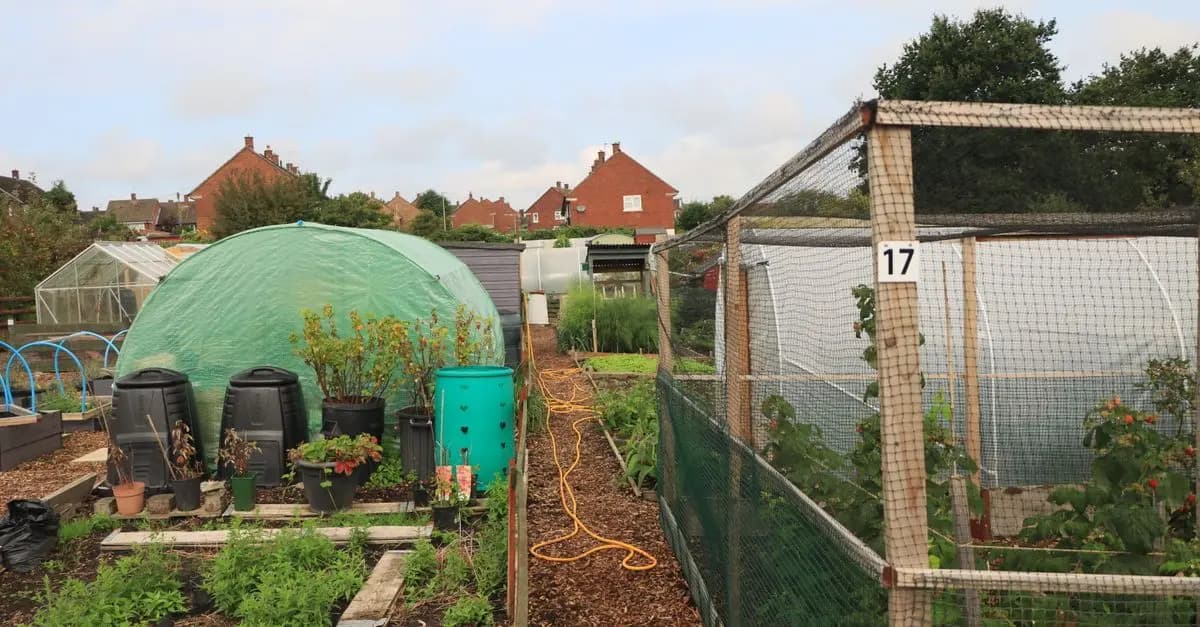 I Vantaggi del Giardinaggio Sostenibile per il Tuo Giardino