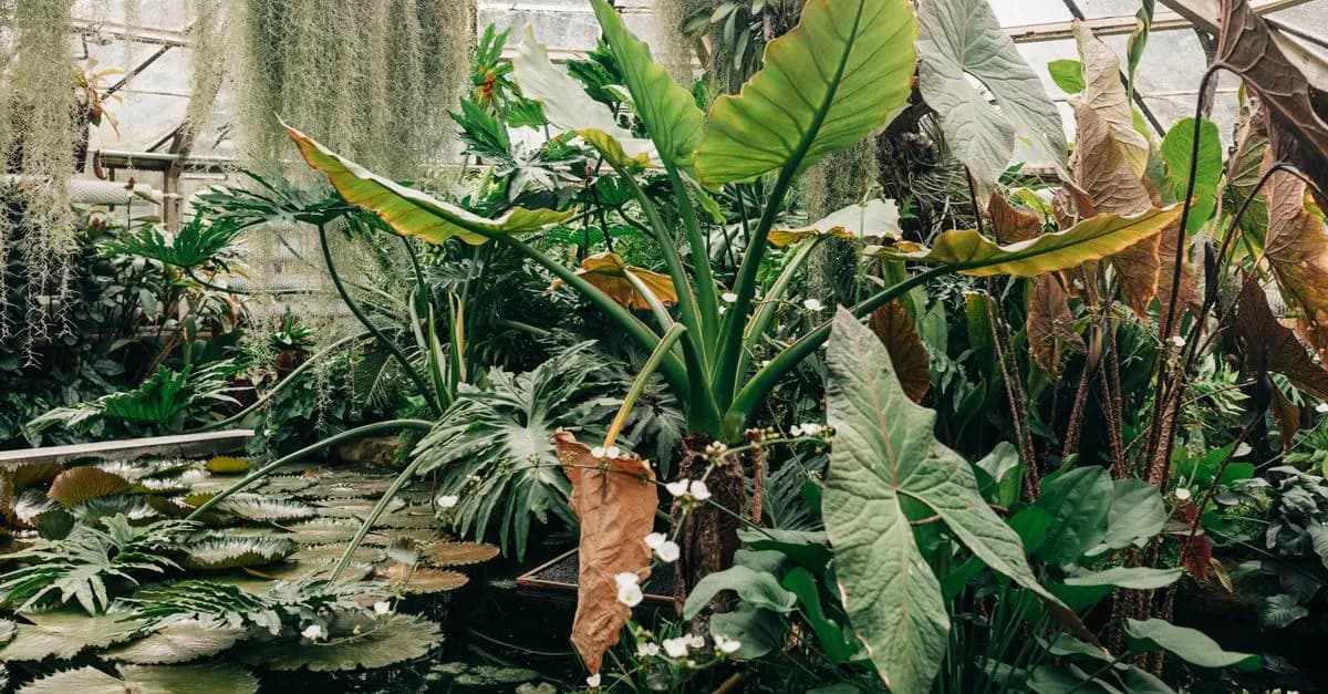 Come Scegliere le Piante Giuste per il Tuo Giardino