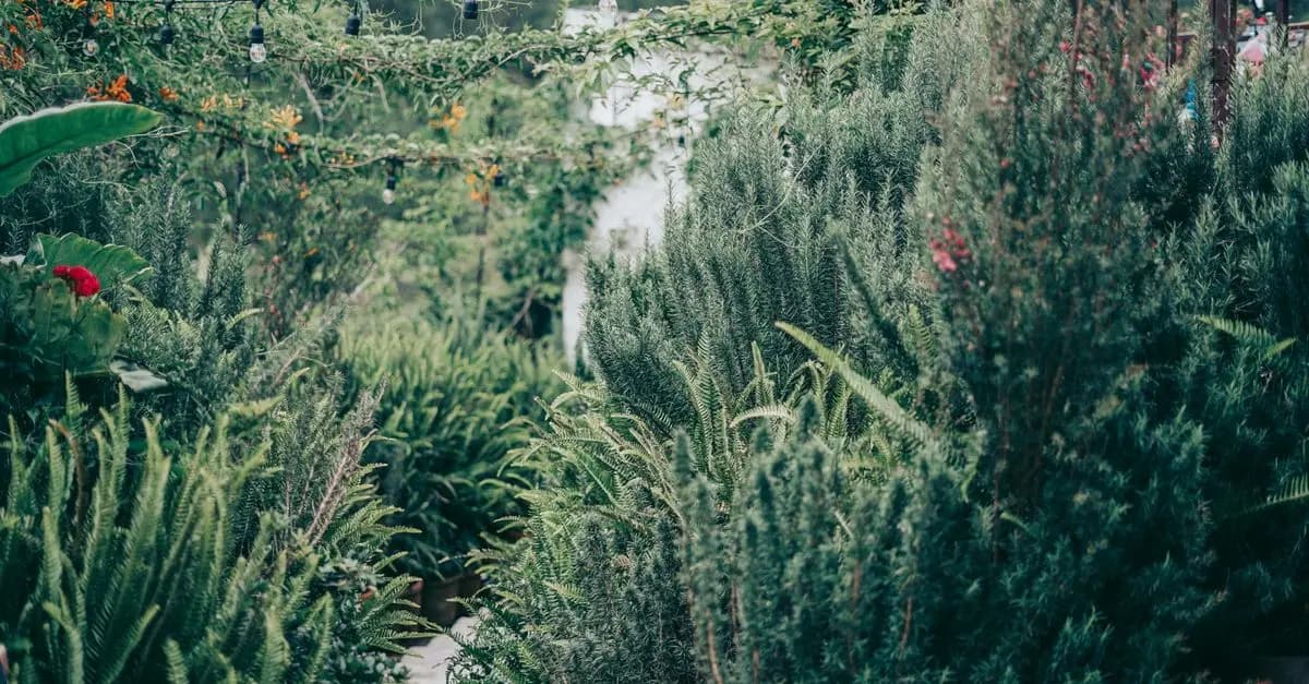10 Consigli Essenziali per Coltivare Piante in Giardino