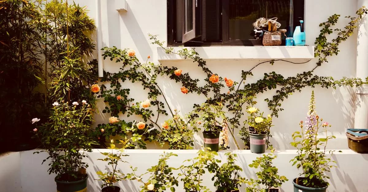 Come Coltivare Piante Facili per Iniziare nel Tuo Giardino