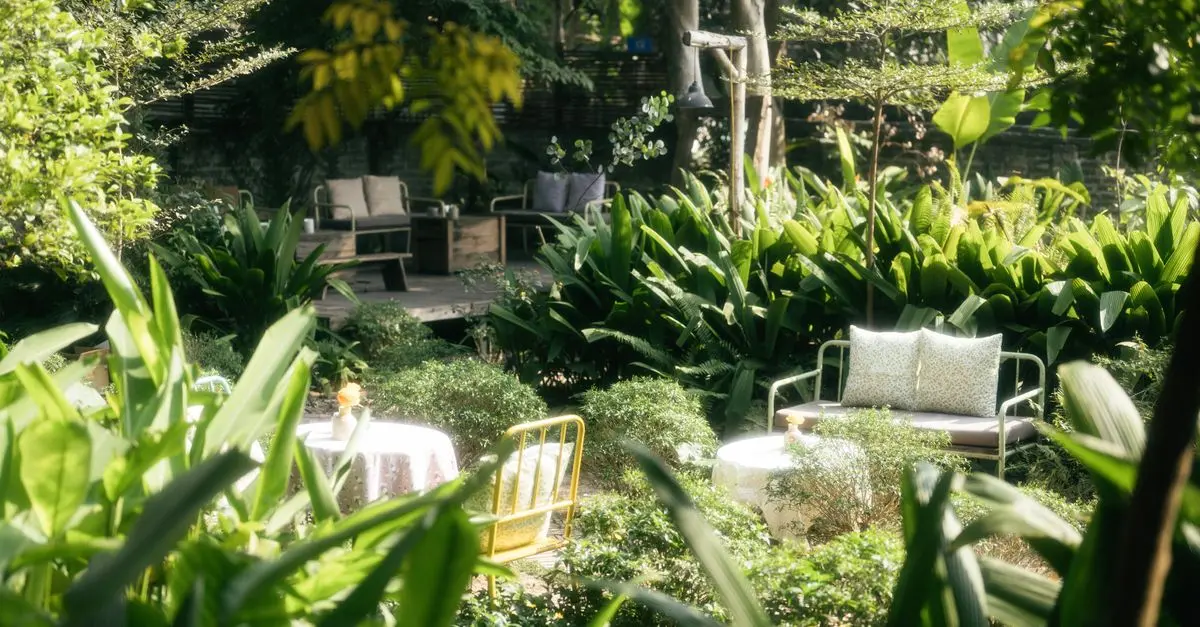 Come Coltivare Piante da Giardino Sostenibili: Guida Completa