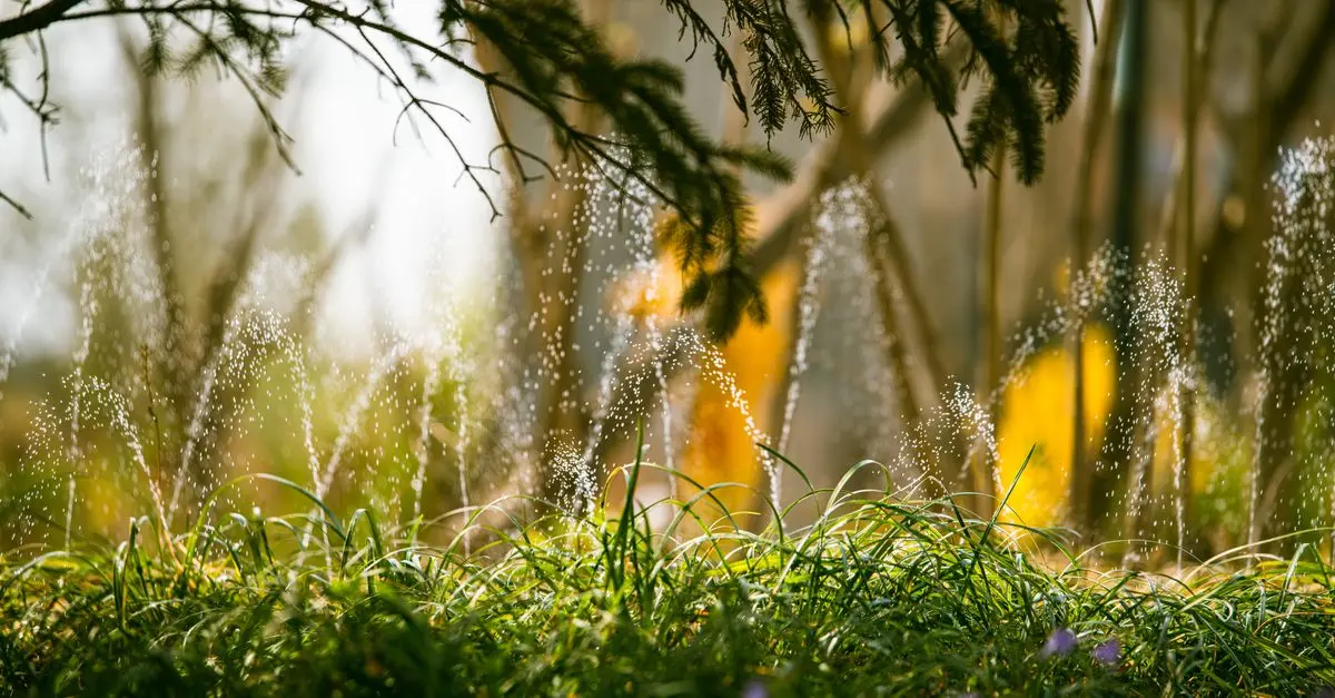 Come Creare un Giardino Resiliente ai Cambiamenti Climatici