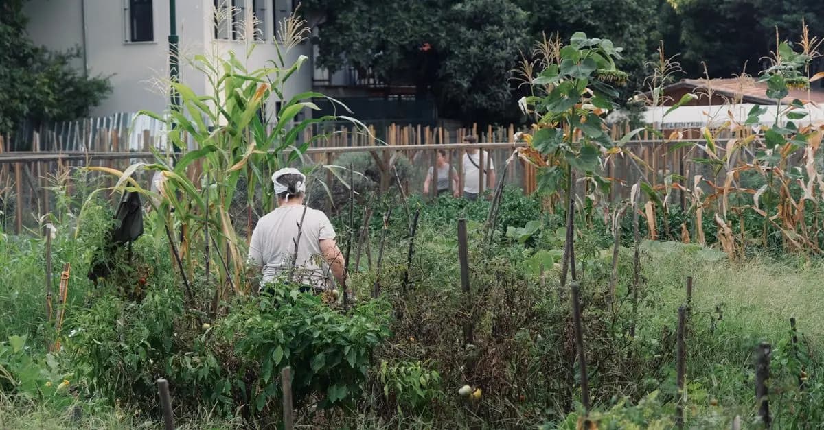 Tutti i Segreti del Compostaggio Domestico