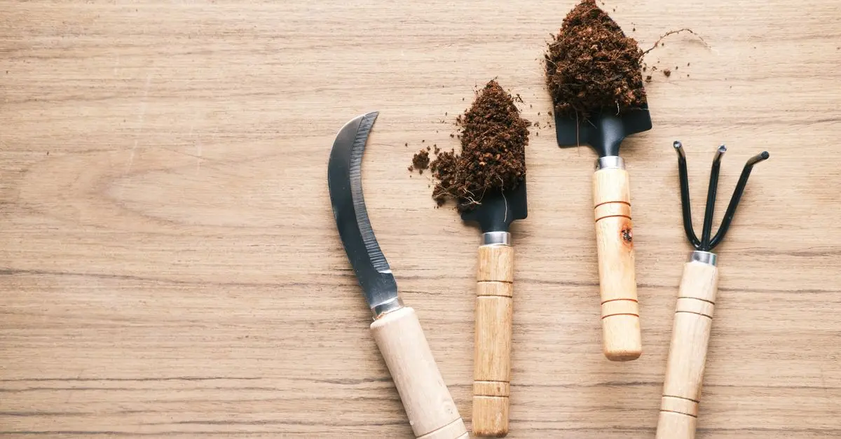 Quali Strumenti Utilizzare per Potare