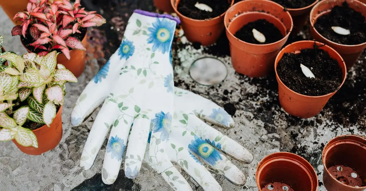 5 Tecniche Per Coltivare Piante Sostenibili nel Tuo Giardino