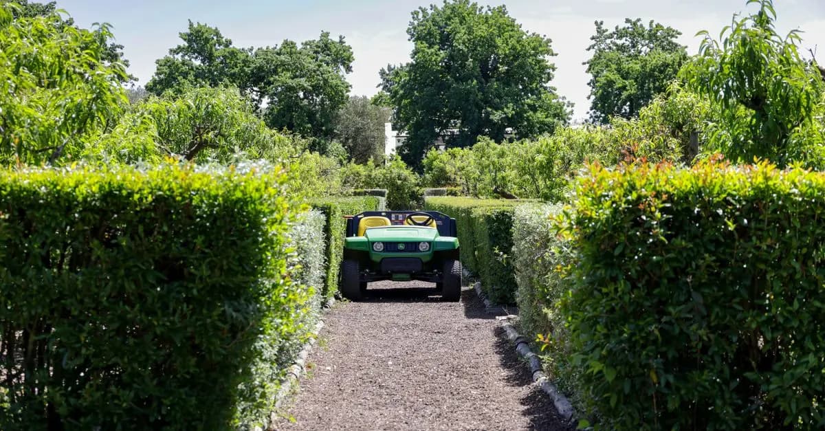 Come Scegliere le Siepi Giuste per il Tuo Giardino