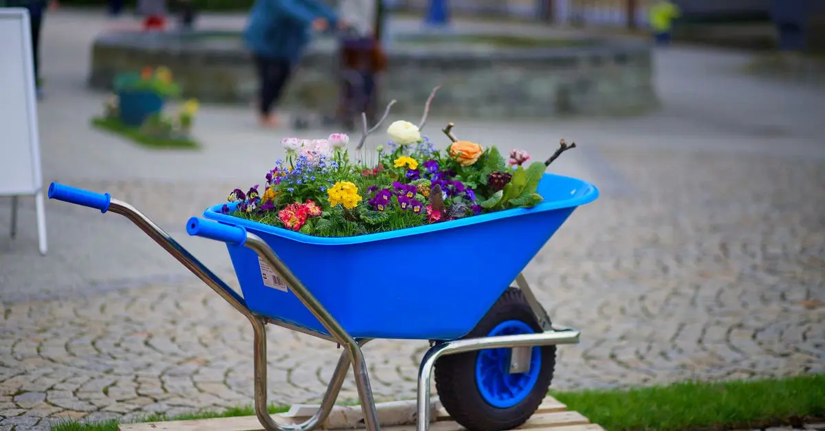 Come Progettare un Giardino Fiorito