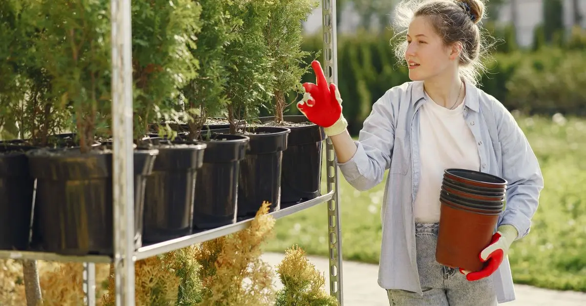 Come Scegliere le Piante per il Tuo Giardino