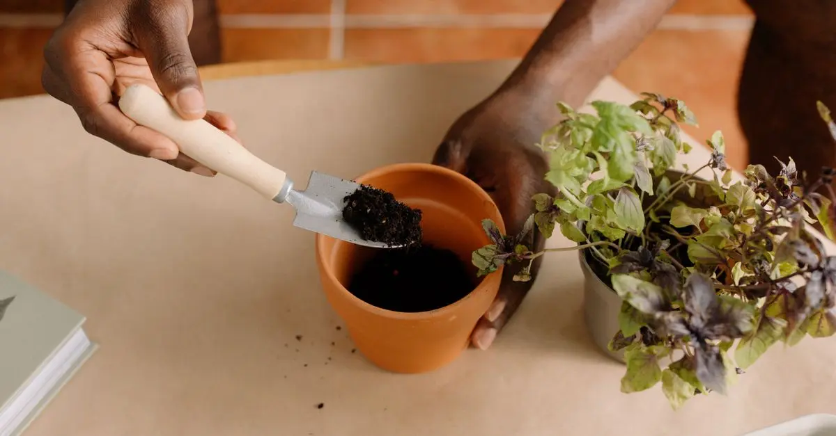 Come Realizzare un Giardino Aromatico per la Tua Casa