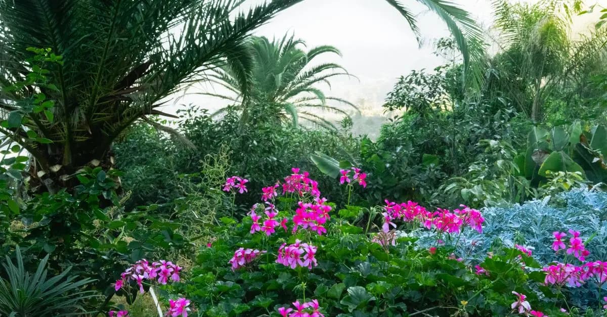 10 Piante da Giardino Resilienti per Ogni Clima