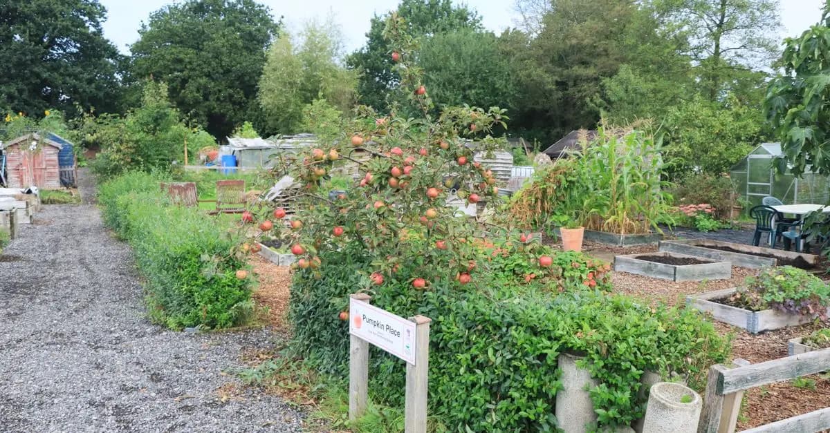 10 Tecniche di Giardinaggio Sostenibile per Ogni Giardiniere