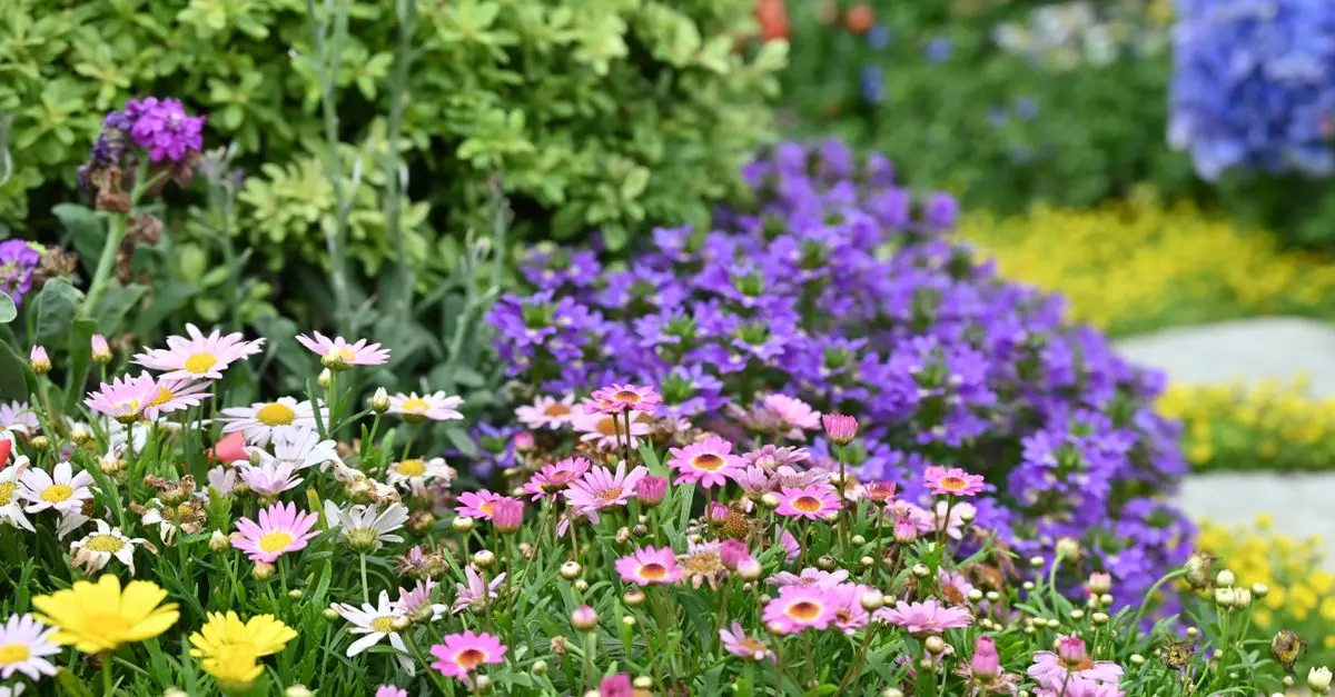 Guida Pratica per Coltivare Piante da Giardino Adatte alla Primavera