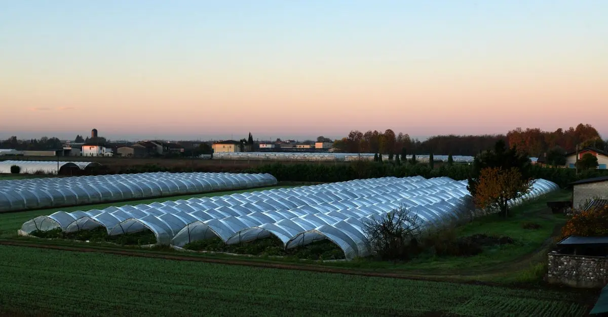 Analisi dei Nuovi Irrigatori Smart