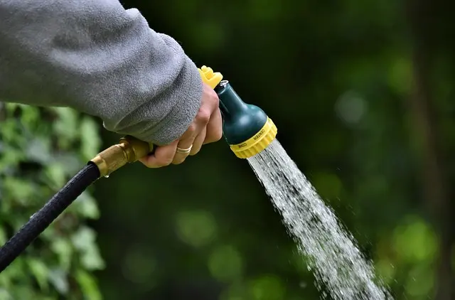 Come Coltivare Piante da Giardino in Modo Sostenibile