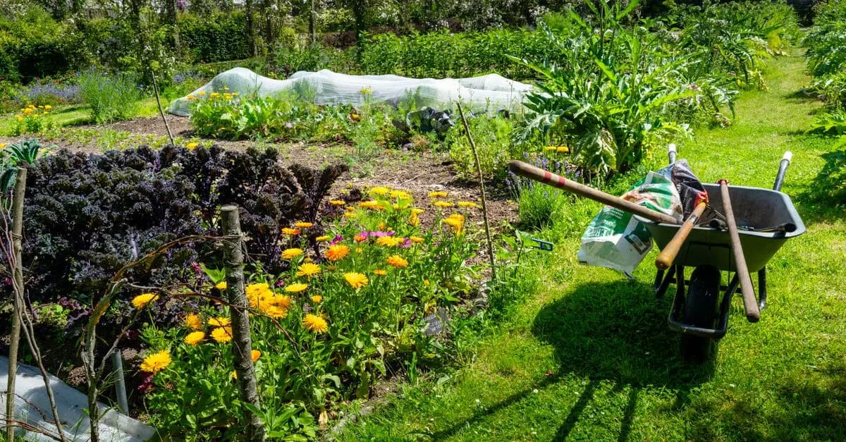 Come Creare un Giardino Sostenibile: Guida Pratica