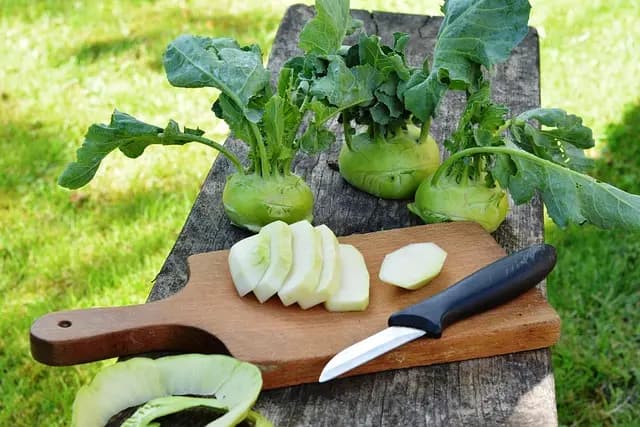 Come Coltivare Piante da Giardino in Modo Sostenibile