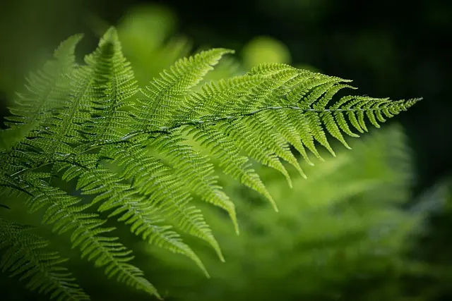10 Consigli per Coltivare Piante da Giardino in Modo Sostenibile