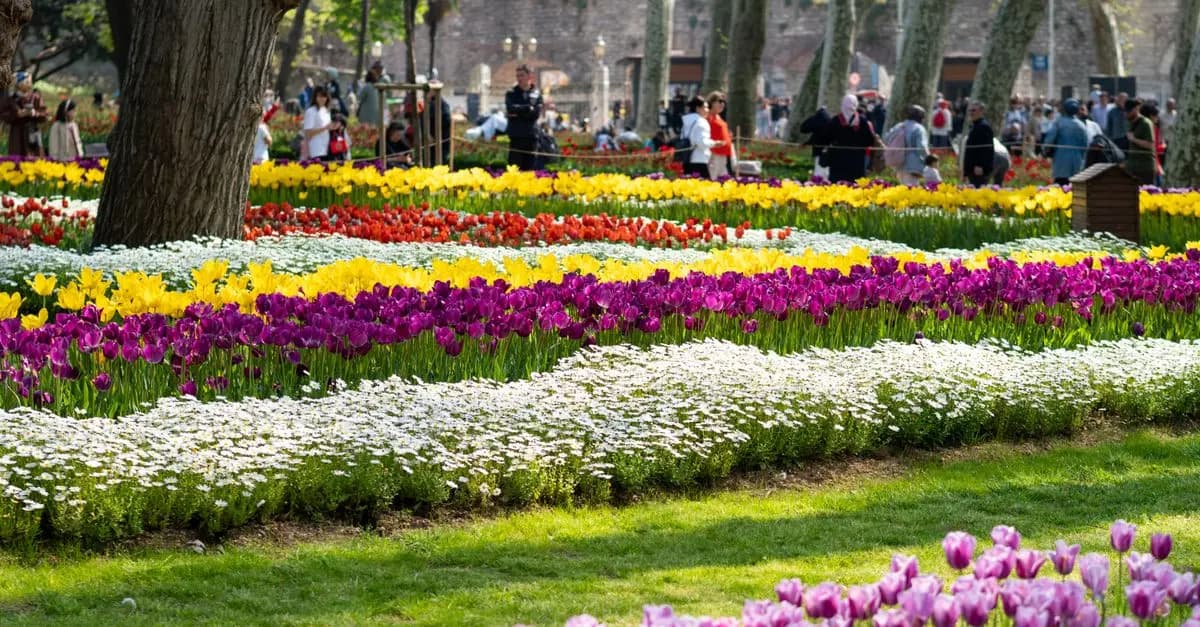 Come Scegliere le Piante Perfette per il Tuo Giardino