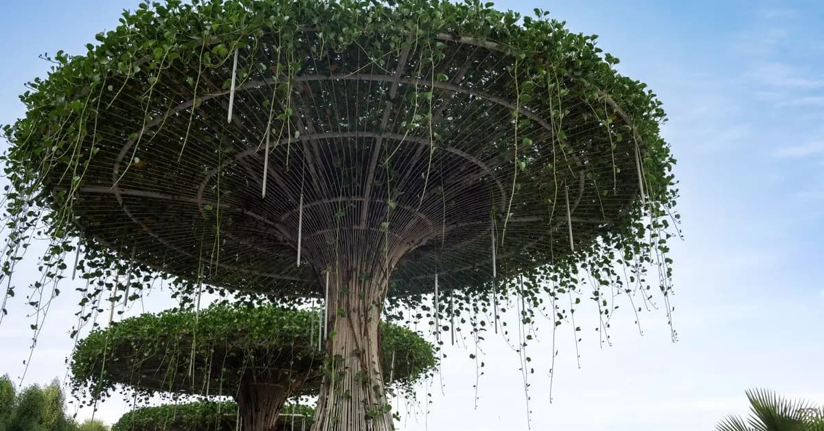 10 Consigli per Coltivare Piante da Giardino in Modo Sostenibile