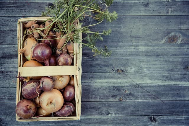 Come Creare un Giardino Sostenibile: Tips e Tecniche