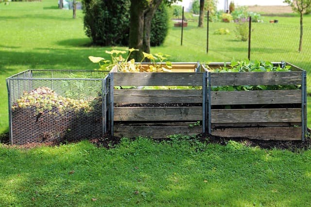 Come Creare un Giardino Sostenibile: Guida Passo dopo Passo