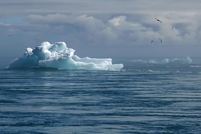 Coltivare Piante Resilienti ai Cambiamenti Climatici: Strategie e Consigli