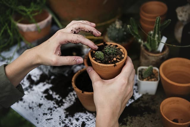 5 Tecniche per Migliorare la Soil Health del Tuo Giardino