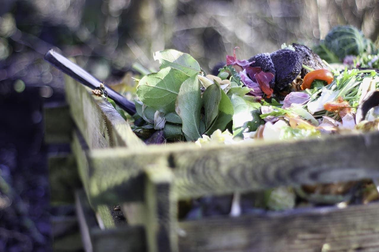 Come Creare un Giardino Sostenibile e Fiorente
